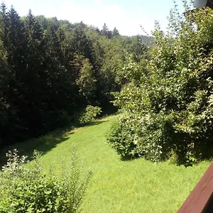 Apartment Ferienwohnung König